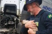 Gata viaja por 70 km embaixo de caminhão e é resgatada pela PRF
