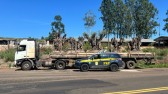 PRF apreende oliveiras argentinas importadas irregularmente no Paraná
