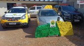 Polícia Militar apreende quase 500 kg de maconha em Mangueirinha