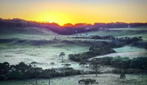 Em pleno verão, Santa Catarina registra primeira geada de 2023