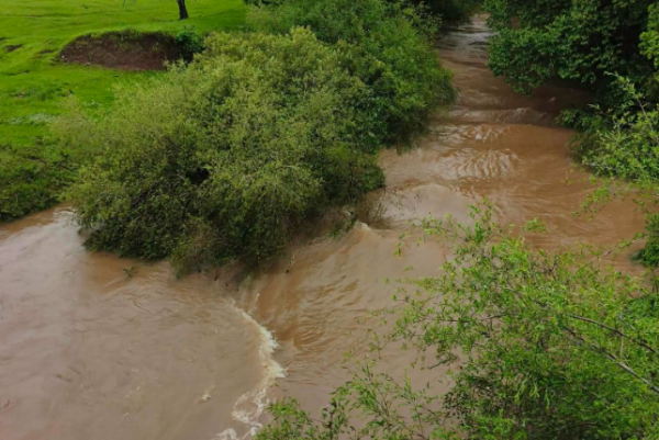 Princesa registra 267 milímetros de chuva em menos de 15 dias e enfrenta prejuízos no campo