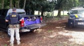 PRF faz a maior apreensão de maconha do ano até agora em SC: 734 kg no Oeste