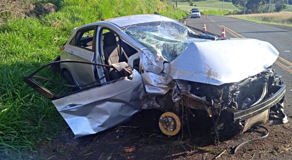 Motorista morre após bater em árvore, na PR 562