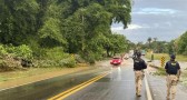 Risco de acidente em rodovias federais sob gestão pública é maior