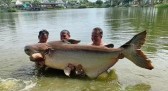 ‘Teste de resistência’, diz pescador após lutar por 1h30 para pescar peixe de 200 quilos