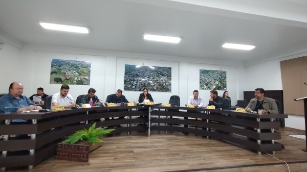 Vice-presidente, Luciane, apresenta indicação e conduz os trabalhos da Câmara.