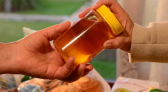 Floradas favorecem safrinha e apicultura registra alta produtividade no Extremo Oeste