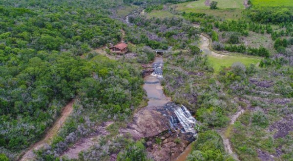 De olho num Carnaval natural? Parques do Paraná têm flora rica e cores exuberantes