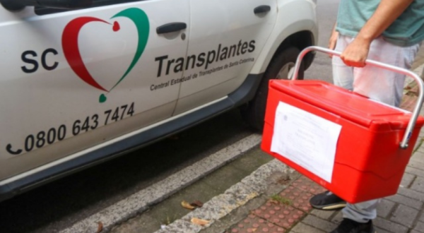 SC registra quase mil transplantes de órgãos em 2025; veja quem pode ser doador