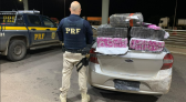 PRF apreende 100 quilos de maconha durante fiscalização na BR-163