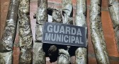Guarda Municipal encontra material explosivo em residência abandonada