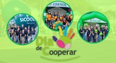 Núcleo de Cooperativas de Crédito da Fronteira realiza o “Dia C”