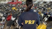 PRF de SC leiloa mais de 300 veículos apreendidos; confira como participar