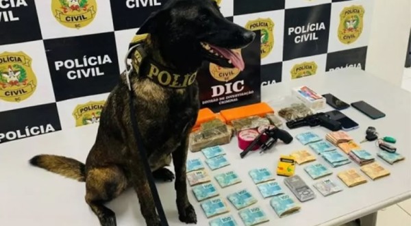 Operação prende líder de organização criminosa e flagra ‘contabilidade do tráfico’ em SC