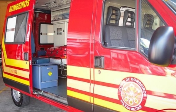 Homem morre ao ser esmagado por árvore no interior