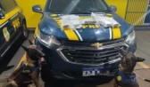 Idosa presa com haxixe em ônibus disse à polícia achar que droga era erva para fazer chá