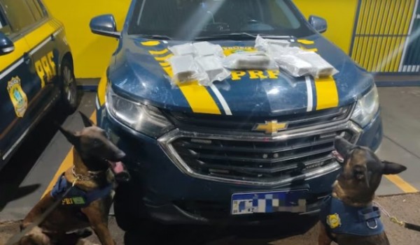 Idosa presa com haxixe em ônibus disse à polícia achar que droga era erva para fazer chá