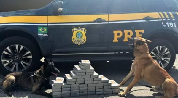 Homem foge de fiscalização no PR e é preso com 53 quilos de cocaína em SC