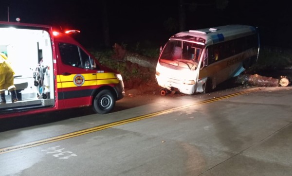 Queda de pinheiro interdita SC-305 e provoca acidente com micro-ônibus