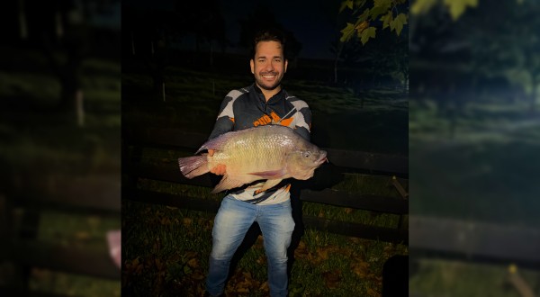 Impressionante: tilápia de mais de 7 kg é capturada e viraliza entre amigos