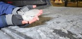 Santa Catarina amanhece com temperaturas negativas e sensação térmica de -25ºC