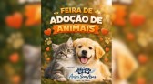 Quer adotar um cãozinho ou gatinho? Feirinha acontece neste sábado