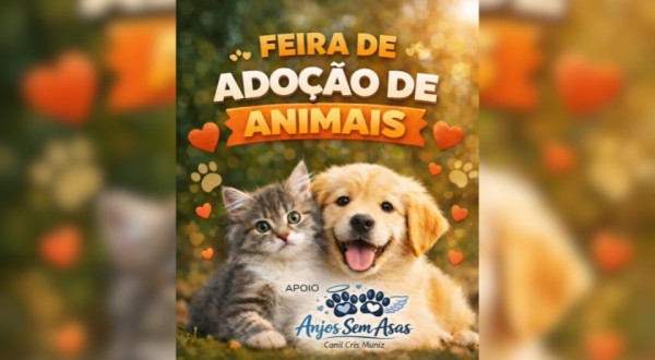 Quer adotar um cãozinho ou gatinho? Feirinha acontece neste sábado