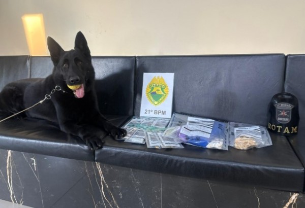 Polícia Militar prende homem por tráfico de drogas
