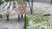 Tempestade de granizo devasta plantações