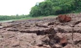 Apesar do alto volume de chuvas em dezembro, SC tem 5% dos municípios em atenção para seca