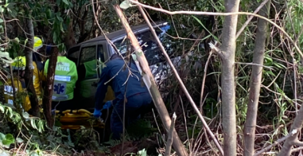 Motorista de 77 anos fica ferido após sair da pista e colidir em árvore