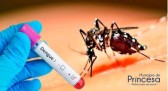 Confirmado primeiro caso de dengue