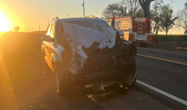 Médica fica ferida após colidir carro com boi solto na rodovia PR-281