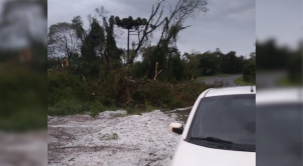 Tempestade com granizo causa danos na agricultura e na infraestrutura no Sudoeste
