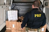 PRF apreende 12,5 mil maços de cigarros contrabandeados e R$ 88 mil em abordagem