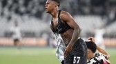 Botafogo aproveita dois erros da defesa do Santos e vence na volta do Brasileirão