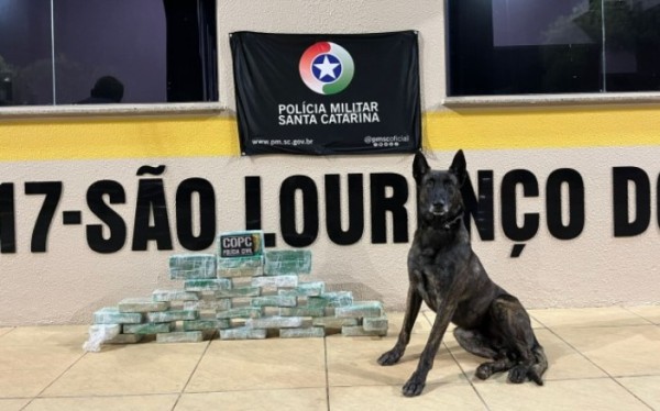 Polícia apreende mais de 30 kg de crack em caminhão na SC-157