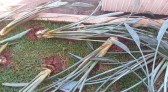 Praça pública do município é vandalizada na madrugada desta segunda-feira (03)