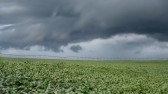 Estado e municípios levantam os efeitos da chuva nas lavouras e estradas rurais
