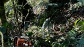 Idoso é encontrado morto numa ribanceira no interior de Caibi