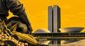 Agro ganha força no Congresso e amplia poder de influência a partir de 2027