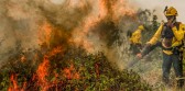Fogo já consumiu 1,3 milhão de hectares e volta a aumentar no Pantanal