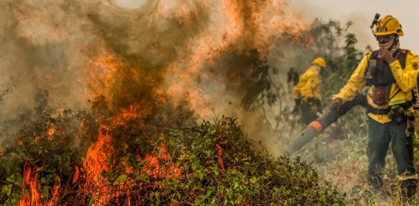 Fogo já consumiu 1,3 milhão de hectares e volta a aumentar no Pantanal