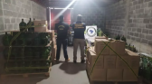 Operação apreende 41 mil litros de vinho fraudado em SC; prejuízo chega a R$ 478 mil