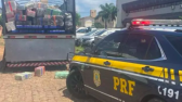 PRF faz maior apreensão do ano no Paraná: 5,5 toneladas de maconha