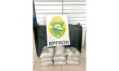 BPFRON apreende droga em ônibus