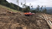 Árvore cai e mata homem em acidente de trabalho em SC