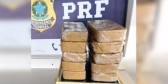 PRF apreende R$ 1,2 milhão em cocaína durante fiscalização na BR-101