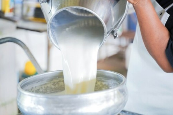 Pesquisas indicam queda de 30% no preço do leite ao produtor