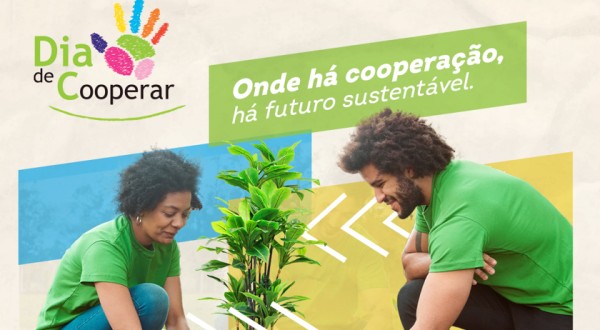 Agências do Sicoob promovem ações no Dia C